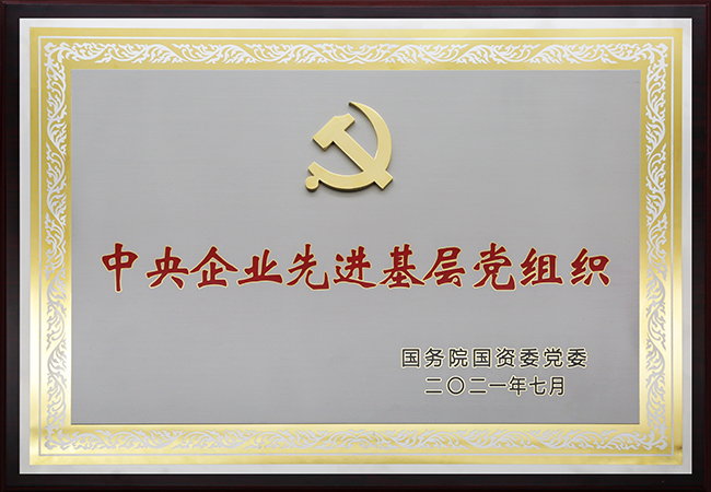 國珍松花粉-新時代健康產(chǎn)業(yè)（集團）有限公司成立于1995年3月，是中國新時代控股（集團）公司的控股子公司，總部設在北京，注冊資本1億元人民幣。公司是直銷行業(yè)內首批獲得直銷牌照的內資企業(yè)之一，也是行業(yè)內唯一一家央屬企業(yè)。